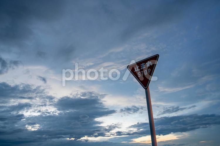 梅雨の雲空と標識 雲,空,道路の写真素材