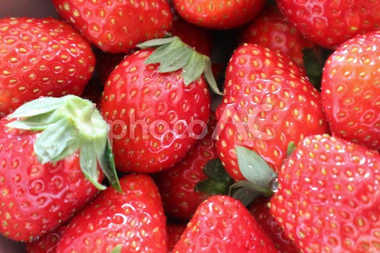 いちご(アップ) いちご,お菓子の材料,かわいいの写真素材