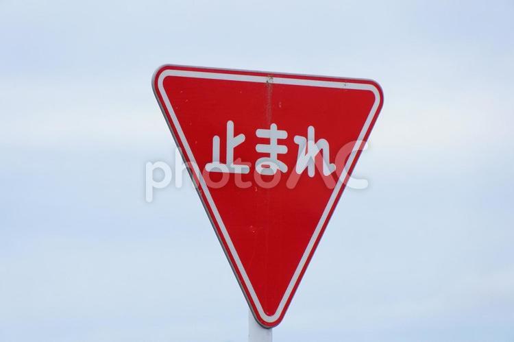 止まれの道路標識 道路標識,交通,看板の写真素材