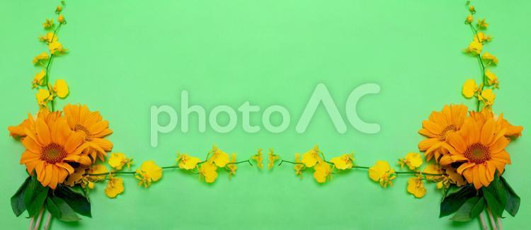 黄色とオレンジ色の2種花柄素材 花,黄色,ひまわりの写真素材