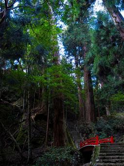 自然の中にある風景(橋) 室生寺,橋,階段の写真素材