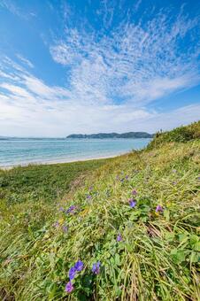 海岸沿いから眺める風景 海,ビーチ,波打ち際の写真素材
