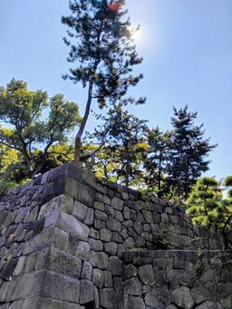 石垣 江戸城 2 石垣 江戸城 2の写真