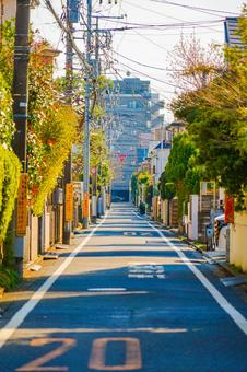 善福寺住宅街の直線道路 善福寺住宅街の直線道路の写真