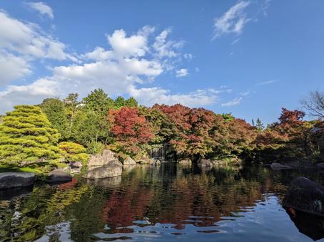 秋の好古園 秋の好古園 好古園,紅葉,秋の写真素材