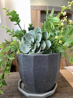 多肉植物の造花 多肉植物の造花の写真