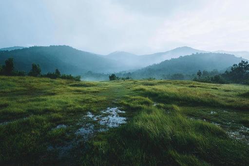 雨上がりの広大な草原と森のパノラマ 雨上がりの広大な草原と森のパノラマの写真