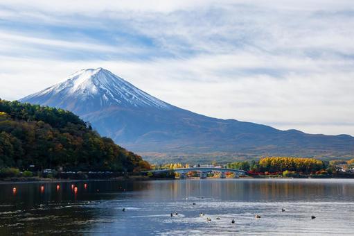 秋の富士 秋,紅葉,河口湖の写真素材