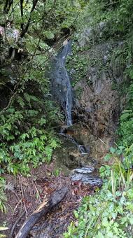 枝折峠途中にある小さな滝と小川 滝,小川,風景の写真素材