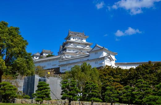 そびえる姫路城の天守閣 姫路城,天守閣,建物の写真素材