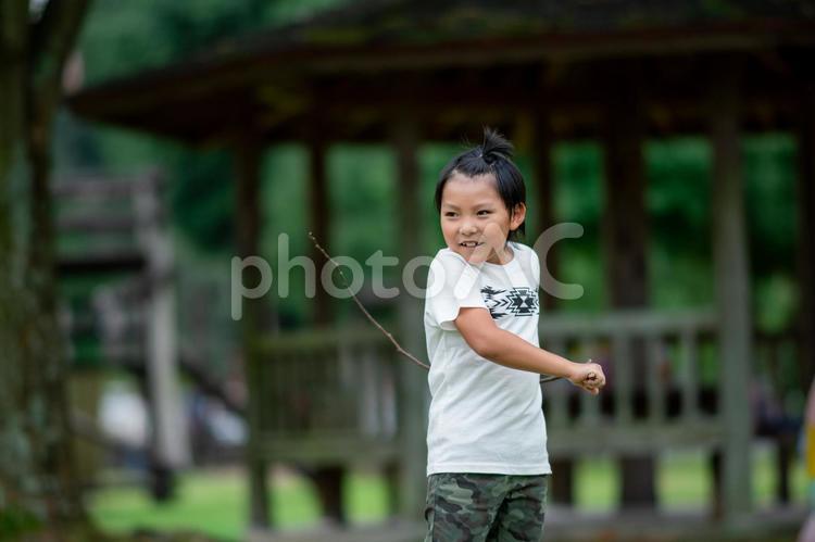 木の枝を持つ男の子 子供,枝,木の枝の写真素材