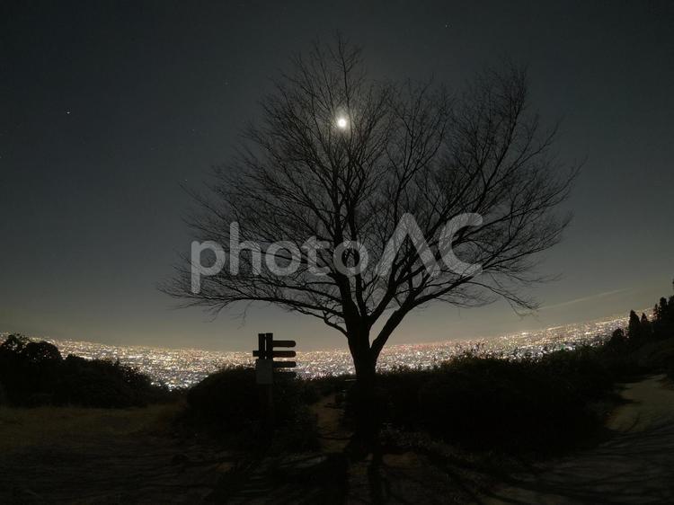 夜景（奈良県生駒山ぼくらの広場） 影,冬,空の写真素材