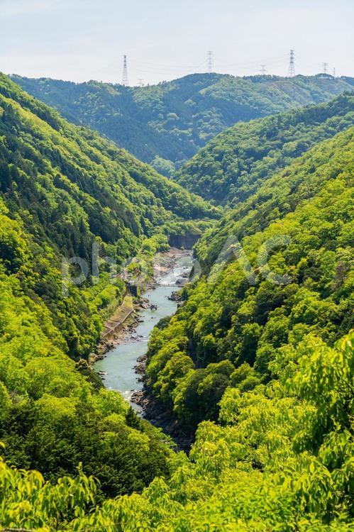 新緑の木々が群生する深い山奥と川の景色 河,谷,渓谷の写真素材