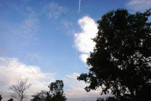 空 空の写真