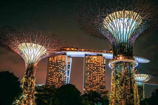 シンガポール夜景ガーデン 人工樹木,夜景,ライトアップの写真素材
