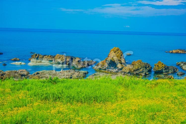 秋田県の海岸線 海岸線,秋田,東北地方の写真素材
