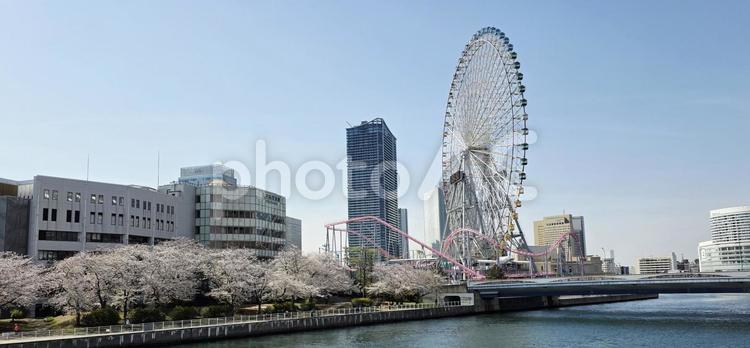 風景　横浜　よこはまコスモワールド 風景,神奈川県,横浜の写真素材