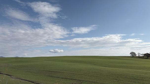 草原 北海道,放牧地,風景の写真素材