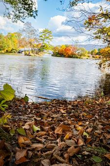 北海道　大沼国定公園　秋の風景 北海道,大沼,函館の写真素材