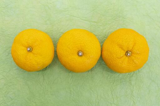 黄緑背景にゆず三つ 柚子,柑橘類,果実の写真素材