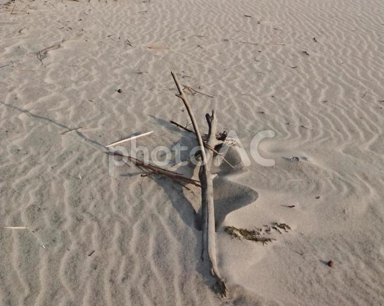 寂しげな砂浜 砂浜,ビーチ,海の写真素材
