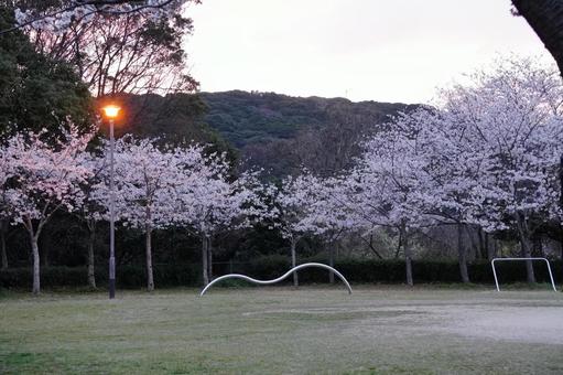 Evening park scenery, JPG