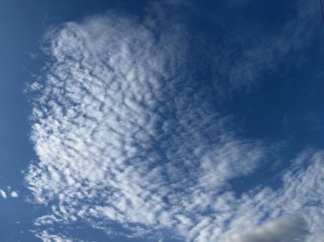 羊雲のように広がる空 羊雲のように広がる空の写真