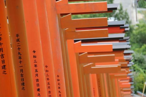 浮羽稲荷神社の連なる鳥居 浮羽稲荷神社の連なる鳥居 浮羽稲荷神社,鳥居,朱の写真素材