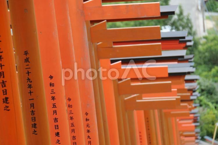 浮羽稲荷神社の連なる鳥居 浮羽稲荷神社,鳥居,朱の写真素材