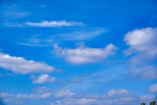 空 空の写真