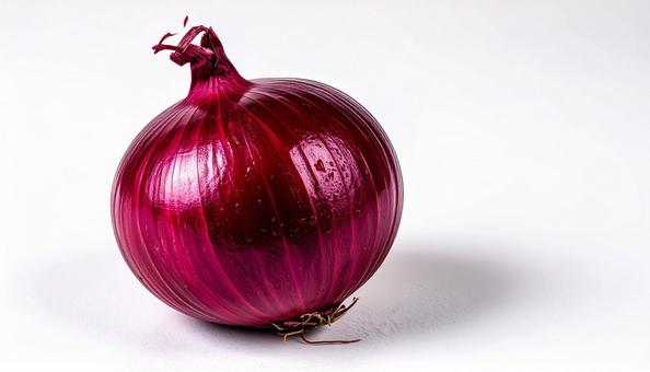 白い背景の赤玉ねぎ 白い背景の赤玉ねぎの写真