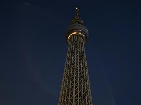 明け方のスカイツリー 明け方のスカイツリー スカイツリー,東京,東京スカイツリーの写真素材
