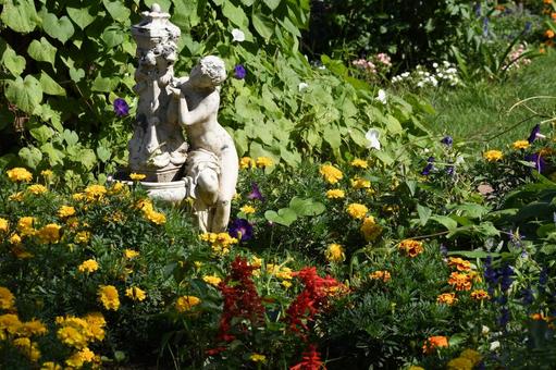 紫竹ガーデン 紫竹ガーデン,花,北海道の写真素材