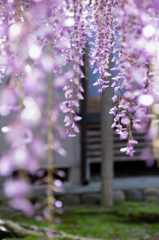 Photo, kumano nagato, temple in which resided a member of nobility or imperial family, iwata city, 