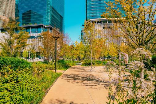 【大阪】大阪駅の街並み 大阪,梅田,タワーの写真素材