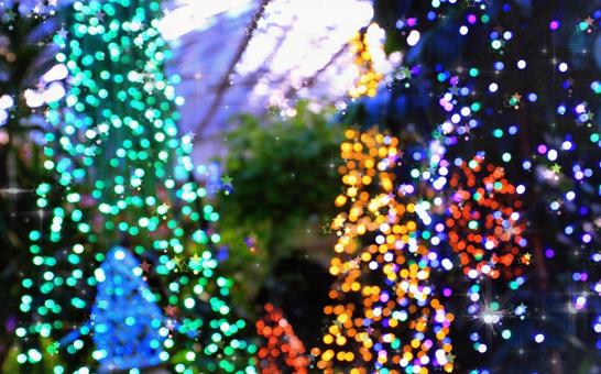 クリスマスツリー・玉ボケイルミネーション クリスマスツリー・玉ボケイルミネーションの写真