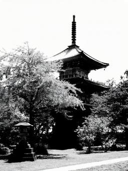 新潟県-五智国分寺-三重塔-白黒 新潟県-五智国分寺-三重塔-白黒の写真