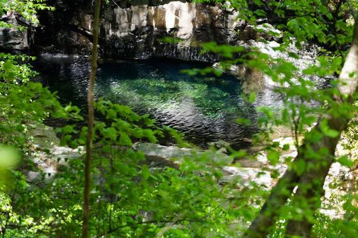 自然と緑と川 自然と緑と川の写真