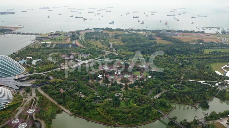 シンガポール　マリーナベイ・サンズから見たガーデンズ・バイ・ザ・ベイ 都市,旅,町の写真素材