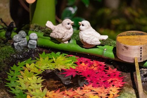 京都の紅葉花手水と竹細工が彩る和の景色 京都の紅葉花手水と竹細工が彩る和の景色 紅葉,秋,花手水の写真素材