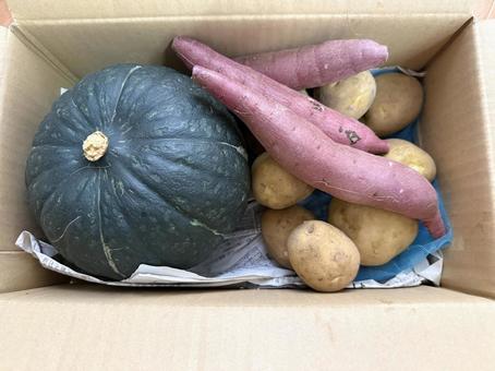 秋の収穫 秋の収穫 野菜,秋,食べ物の写真素材
