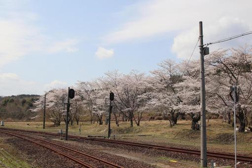大畑駅 大畑駅の写真