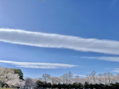 一本の雲 一本の雲の写真