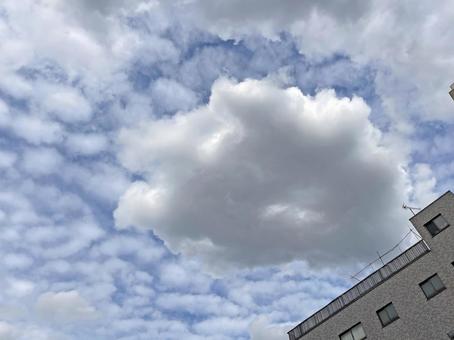 山手通り9月:マンションとひつじ雲 山手通り9月:マンションとひつじ雲の写真