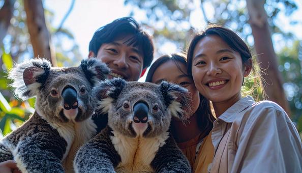 海外旅行 コアラを抱く家族 海外旅行 コアラを抱く家族の写真
