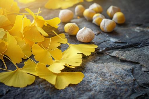 銀杏とぎんなん・秋の地面の彩りの写真