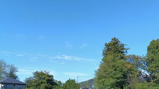 秋の空 空,樹,雲の写真素材