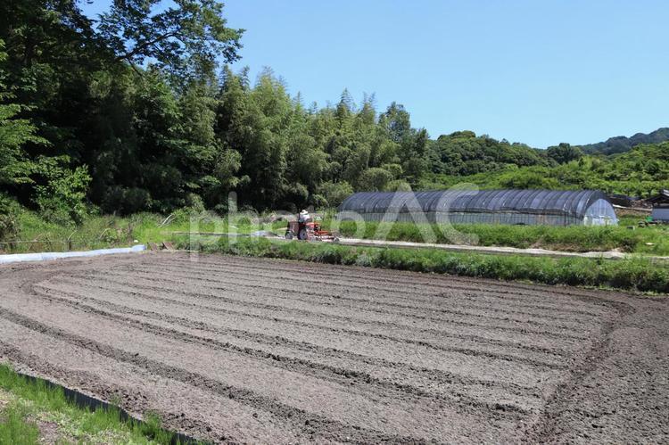 田舎の畑とビニールハウス 畑,ビニールハウス,緑の写真素材
