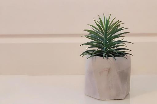 Houseplants and white walls, JPG