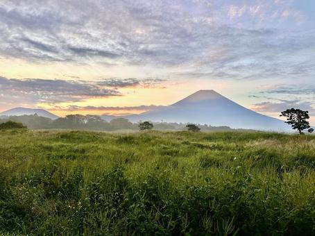 国道沿いの野原から見る富士山 国道沿いの野原から見る富士山 富士山,草地,野原の写真素材